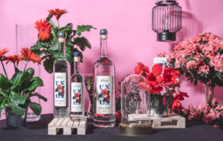 Distillerie Berta e Treedom insieme per la tutela della foresta in Kenya