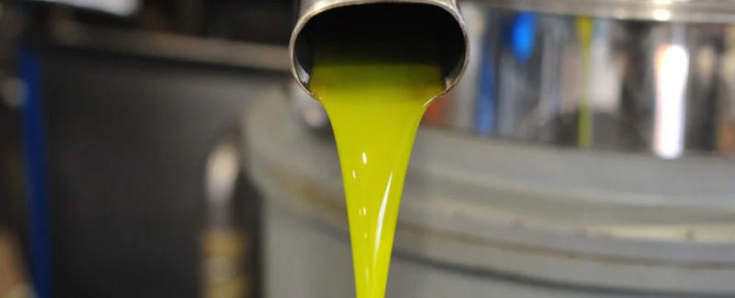Olio extravergine Monini presenta il Piano di Sostenibilità 2020-2030 5 Olio extravergine Monini presenta il Piano di Sostenibilità 2020-2030