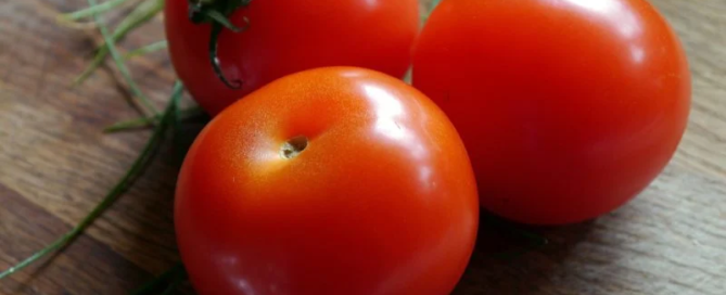 Firmato l’accordo salva pomodoro Made in Italy 1 Firmato l’accordo salva pomodoro Made in Italy