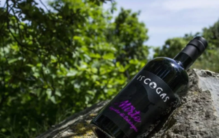 Liquorificio "Is Cogas": il cuore della Sardegna in un bicchiere 2 Liquorificio "Is Cogas": il cuore della Sardegna in un bicchiere