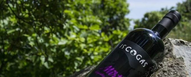Liquorificio "Is Cogas": il cuore della Sardegna in un bicchiere 4 Liquorificio "Is Cogas": il cuore della Sardegna in un bicchiere