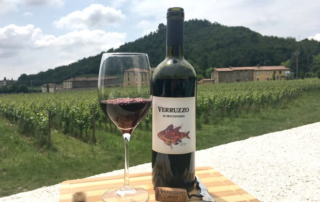 Monteverro, un vino toscano con carattere internazionale 1 Monteverro, un vino toscano con carattere internazionale