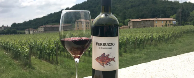 Monteverro, un vino toscano con carattere internazionale 10 Monteverro, un vino toscano con carattere internazionale