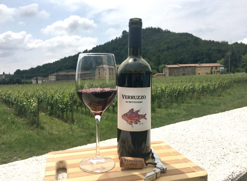Monteverro, un vino toscano con carattere internazionale Monteverro, un vino toscano con carattere internazionale