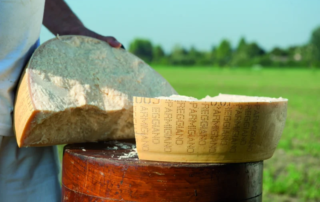 Dal produttore al consumatore: nasce il nuovo shop online di Parmigiano Reggiano 1