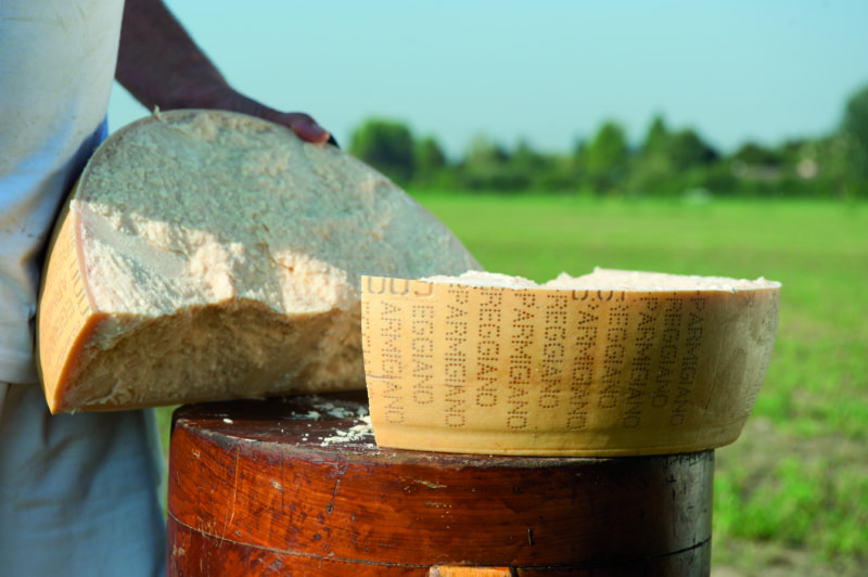 Dal produttore al consumatore: nasce il nuovo shop online di Parmigiano Reggiano 1