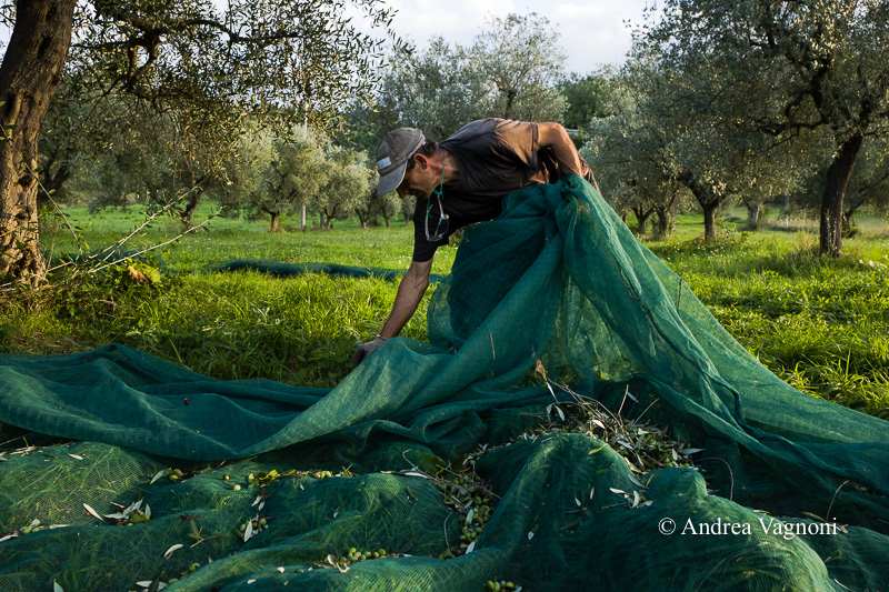 Tradizione e sapori alla base dell'Olio dé Liva 1