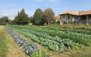 Relex a fianco di Cascina Linterno e dei milanesi, nel crowdfunding ecologico promosso da NaturaSì 1 Relex a fianco di Cascina Linterno e dei milanesi, nel crowdfunding ecologico promosso da NaturaSì
