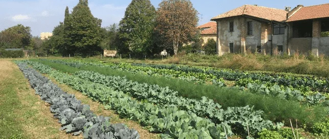 Relex a fianco di Cascina Linterno e dei milanesi, nel crowdfunding ecologico promosso da NaturaSì 1 Relex a fianco di Cascina Linterno e dei milanesi, nel crowdfunding ecologico promosso da NaturaSì