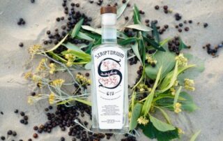 Scriptorium gin, il sapore delle Marche in una bottiglia