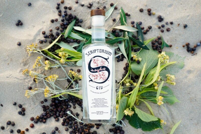 Scriptorium gin, il sapore delle Marche in una bottiglia