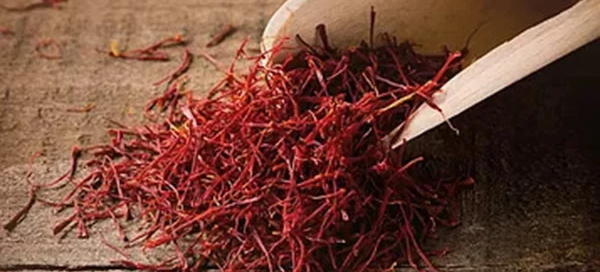 Dai migliori bulbi nasce lo zafferano dell’Azienda Agricola Zalino 1 Dai migliori bulbi nasce lo zafferano dell’Azienda Agricola Zalino