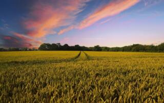 geoFootprint agricoltura