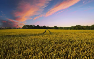 Grazie a geoFootprint arriva la mappa dell'impatto ambientale 8 geoFootprint agricoltura
