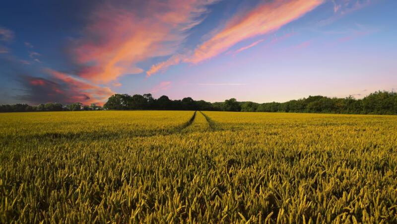 geoFootprint agricoltura