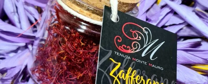 Il gusto unico e impareggiabile dello zafferano della Tenuta Monte Mauro 9 Il gusto unico e impareggiabile dello zafferano della Tenuta Monte Mauro