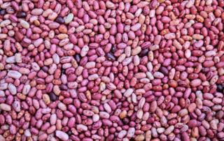 Boom dei consumi di legumi nell’ultimo anno 1