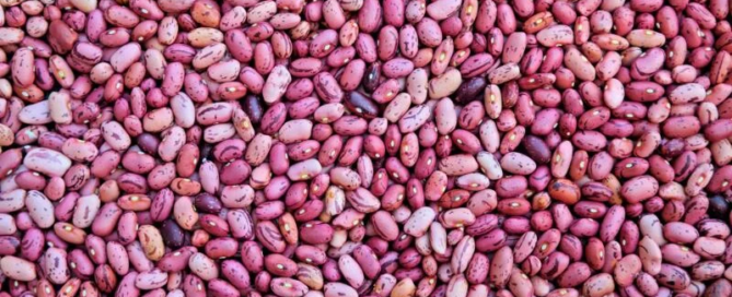 Boom dei consumi di legumi nell’ultimo anno 8 Boom dei consumi di legumi nell’ultimo anno 1