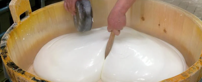 Impazza la vendita online di Mozzarella di Bufala Campana Dop falsa 9 mozzarella di bufala campana dop