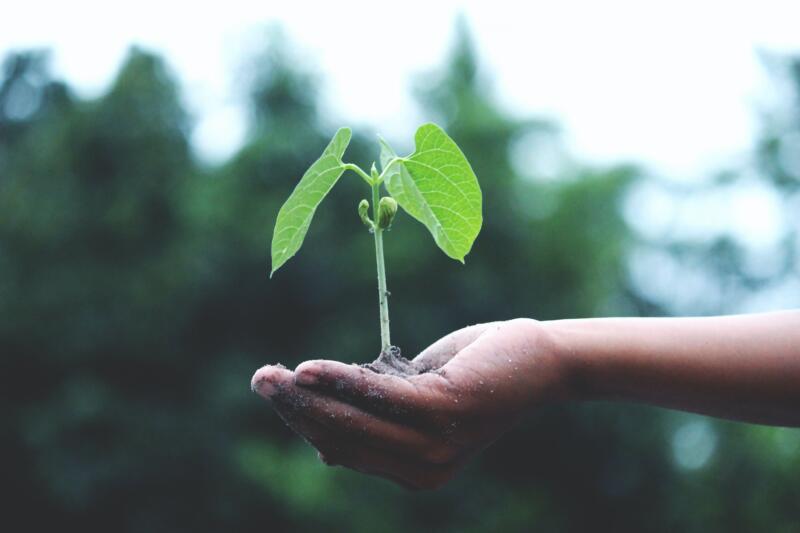 Il futuro del nostro pianeta è in mano alla sostenibilità agroalimentare? 2