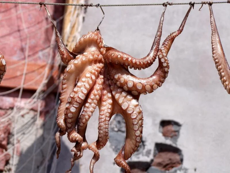 Pesce italiano in calo con le uscite in mare ridotte