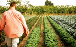 Riscoprire la fiducia attraverso il cibo, intervista a Cà di Viazadùr Farmhouse 1