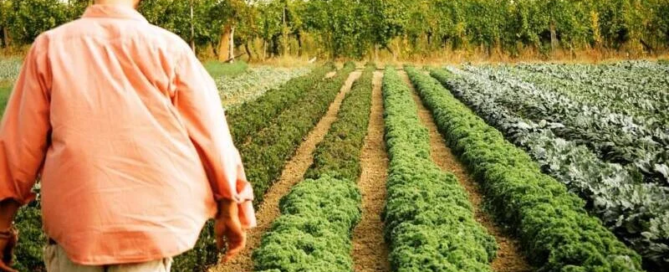 Riscoprire la fiducia attraverso il cibo, intervista a Cà di Viazadùr Farmhouse 10 Riscoprire la fiducia attraverso il cibo, intervista a Cà di Viazadùr Farmhouse 1