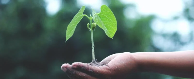 Il pack alimentare del futuro: sostenibilità, innovazione e sicurezza 6 pack alimentare futuro