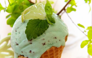 Stevia: un dolcificante da scoprire 2 stevia