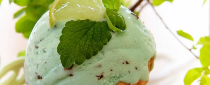 Stevia: un dolcificante da scoprire 6 stevia