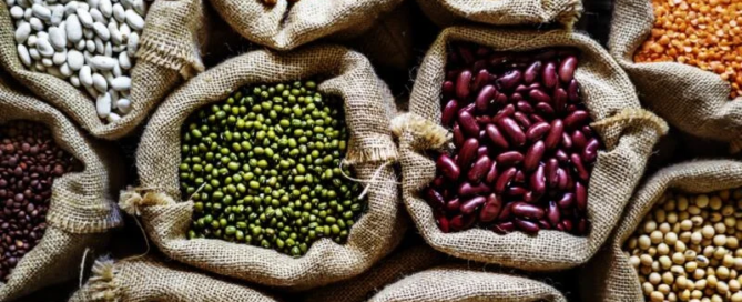 Non solo proteine: ad ogni legume la sua virtù 8 varieta-legume