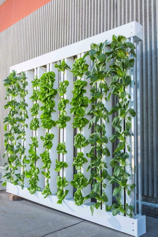 indoor farming