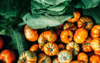 Potenzialità e traiettorie di sviluppo dell’agricoltura italiana 5 agricoltura italiana