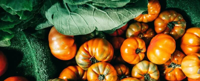 Potenzialità e traiettorie di sviluppo dell’agricoltura italiana 9 agricoltura italiana