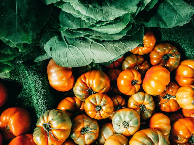 agricoltura italiana