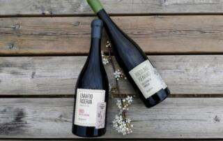 Cantina Roeno: vini di carattere da quasi 50 anni, frutto del connubio tra tradizione e innovazione