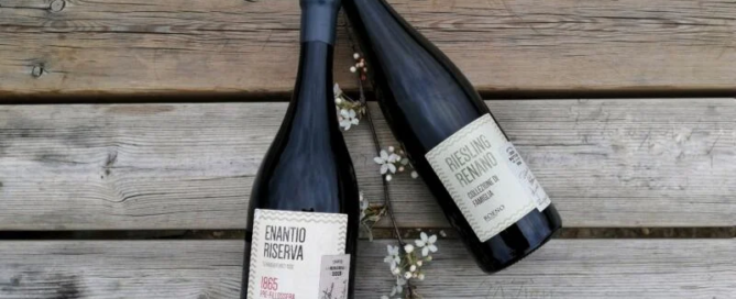 Cantina Roeno: vini di carattere da quasi 50 anni, frutto del connubio tra tradizione e innovazione 10 Cantina Roeno: vini di carattere da quasi 50 anni, frutto del connubio tra tradizione e innovazione
