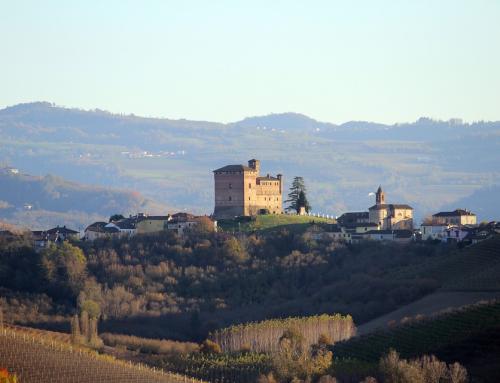 Il Piemonte del vino ricomincia da Piemonte Land of Wine