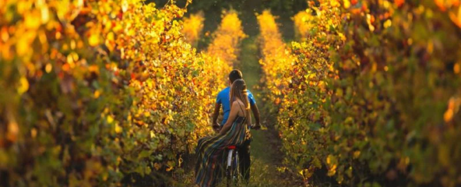 Torna il Festival Franciacorta: due weekend all'insegna delle bollicine 6 Torna il Festival Franciacorta: due weekend all'insegna delle bollicine