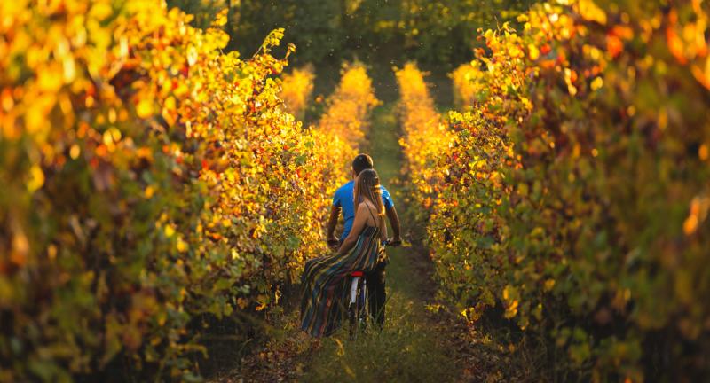 Torna il Festival Franciacorta: due weekend all'insegna delle bollicine