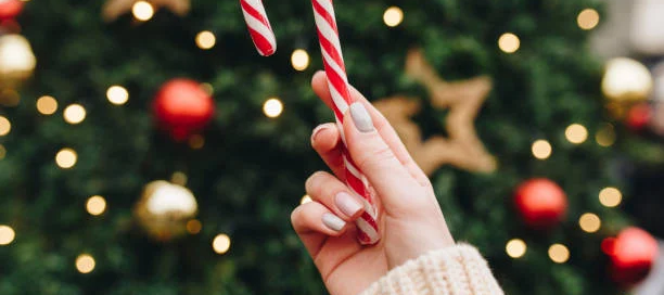 L'albero di Natale non è mai stato così... buono! 6 L'albero di Natale non è mai stato così... buono!