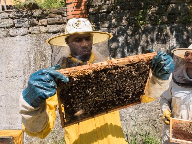 L’apicoltura per l’inclusione lavorativa e sociale