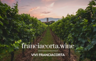 Franciacorta lancia il nuovo sito Franciacorta.wine 9 Franciacorta lancia il nuovo sito Franciacorta.wine