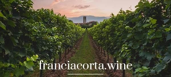 Franciacorta lancia il nuovo sito Franciacorta.wine 3 Franciacorta lancia il nuovo sito Franciacorta.wine