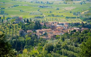Anteprima Suvereto e Val di Cornia, buona la prima