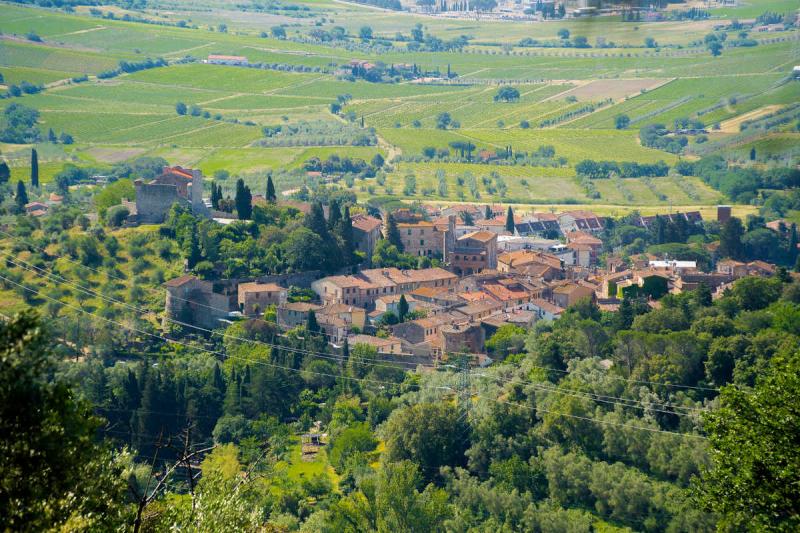 Anteprima Suvereto e Val di Cornia, buona la prima