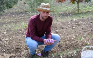 Arkania, la terra di mezzo dello zafferano 10 Arkania, la terra di mezzo dello zafferano