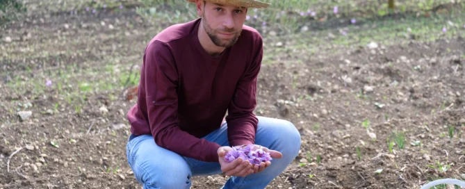 Arkania, la terra di mezzo dello zafferano 2 Arkania, la terra di mezzo dello zafferano