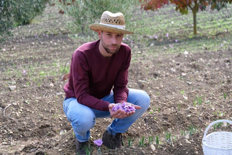 Arkania, la terra di mezzo dello zafferano