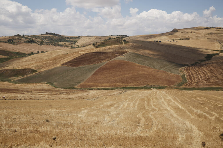 Il pomodoro 